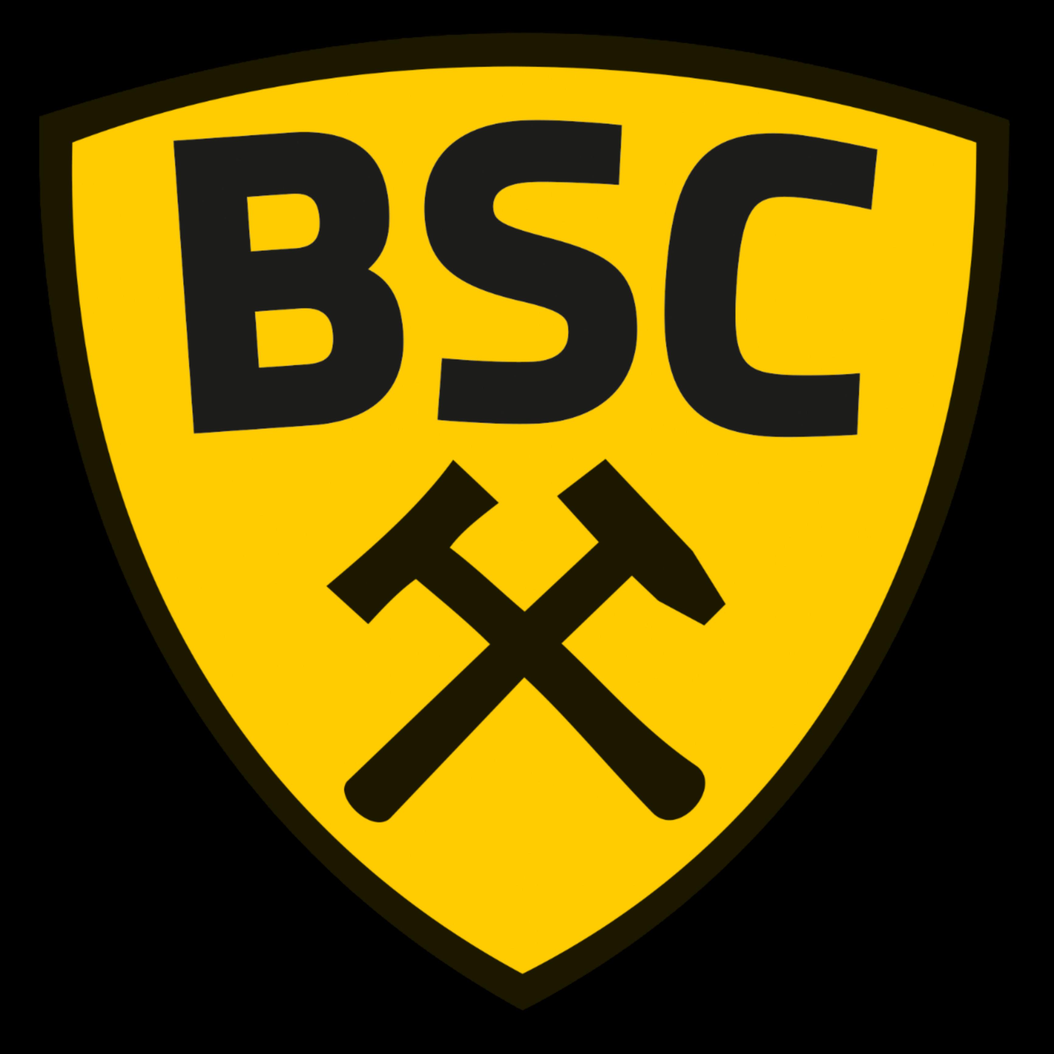 BSC Freiberg
